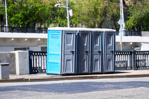Portable bathroom rental in Cologne, MN